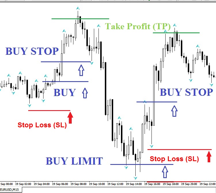 forex terms buy stop